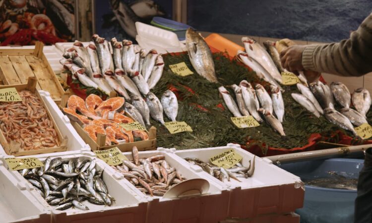 Steveston Fisherman's Wharf - Count The Erfish